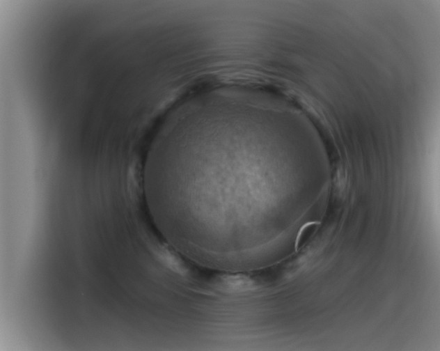 X0000115450424200911121157