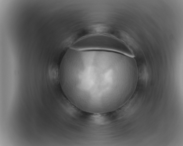 X0000115450425200911121157