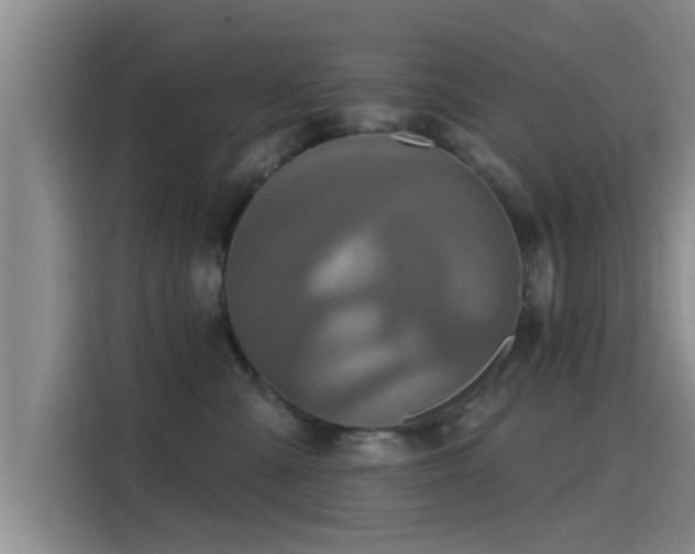 X0000115450427200911121157