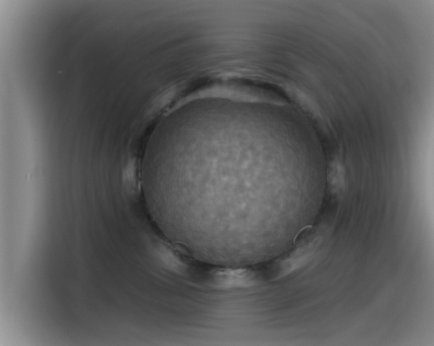 X0000115450428200911121157