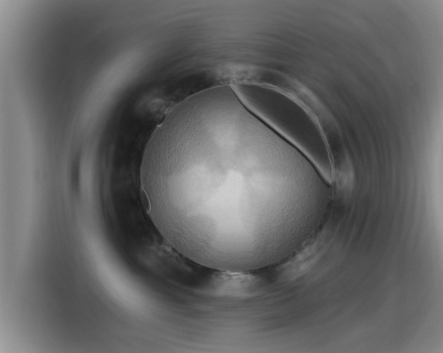 X0000115450429200911121157