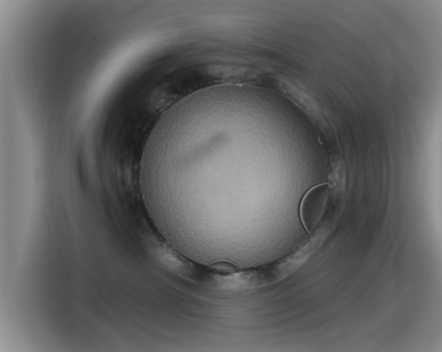 X0000115450430200911121157