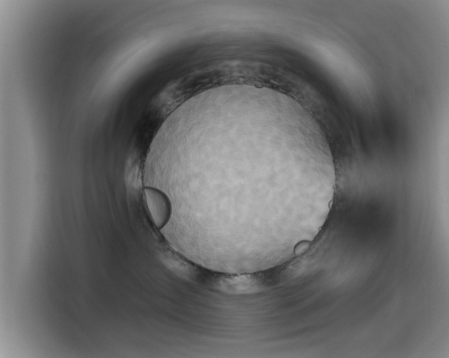 X0000115450431200911121157