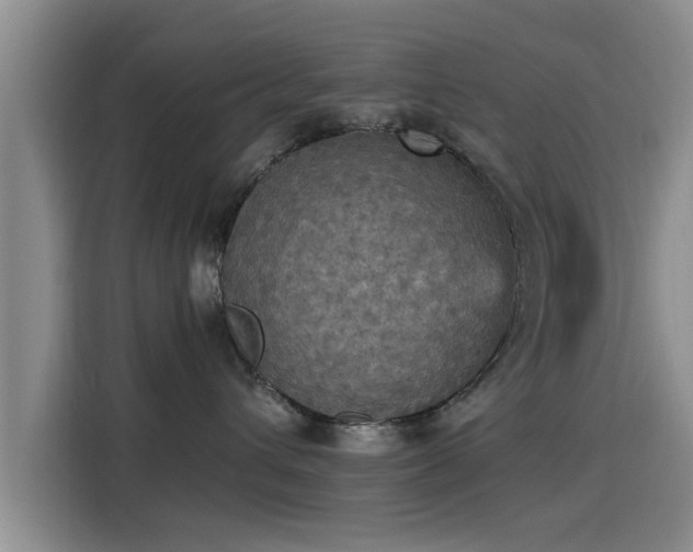 X0000115450432200911121157