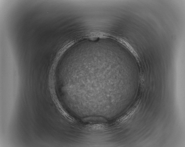 X0000115450433200911121157