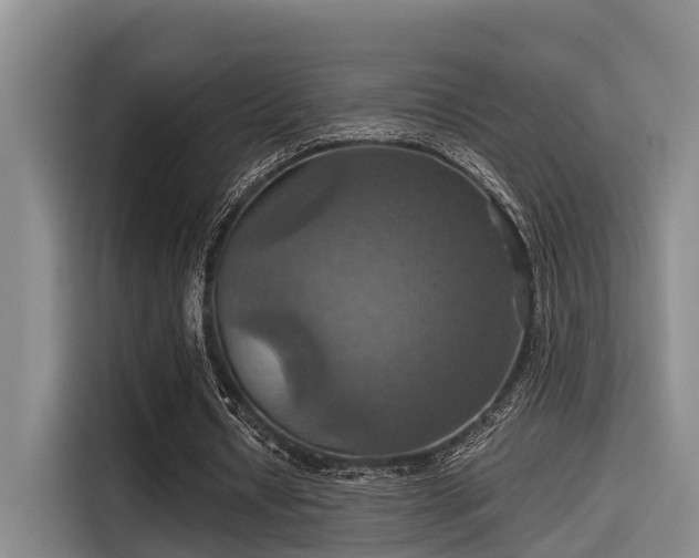 X0000115450434200911121157