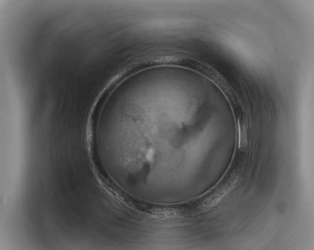 X0000115450435200911121157