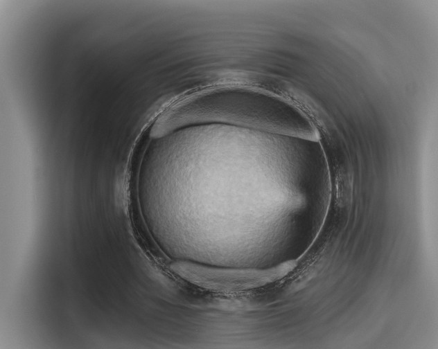 X0000115450436200911121157