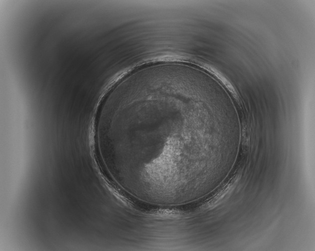 X0000115450437200911121157