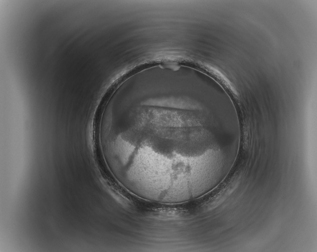 X0000115450439200911121157