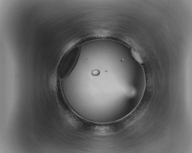 X0000115450440200911121157