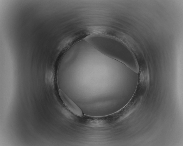 X0000115450444200911121157