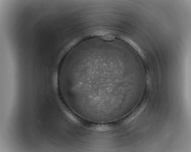 X0000115450445200911121157