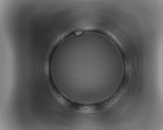 X0000115450447200911121157