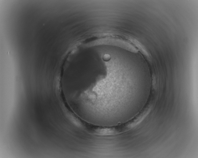 X0000115450449200911121157