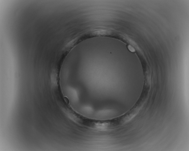 X0000115450450200911121157