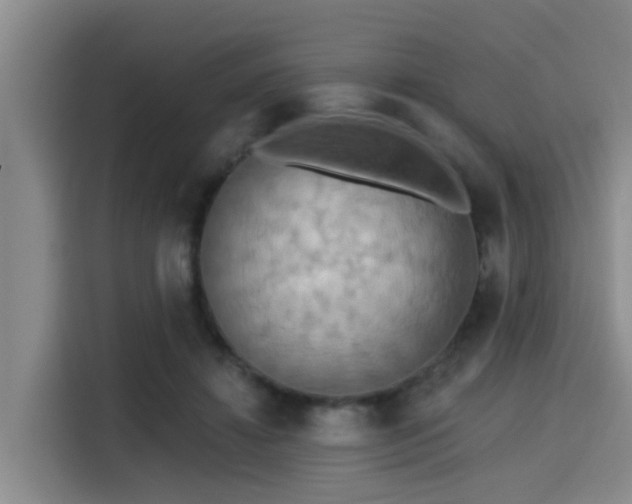 X0000115450452200911121157