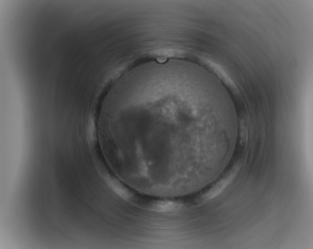 X0000115450453200911121157