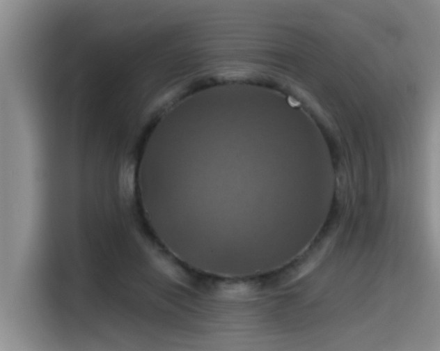 X0000115450454200911121157