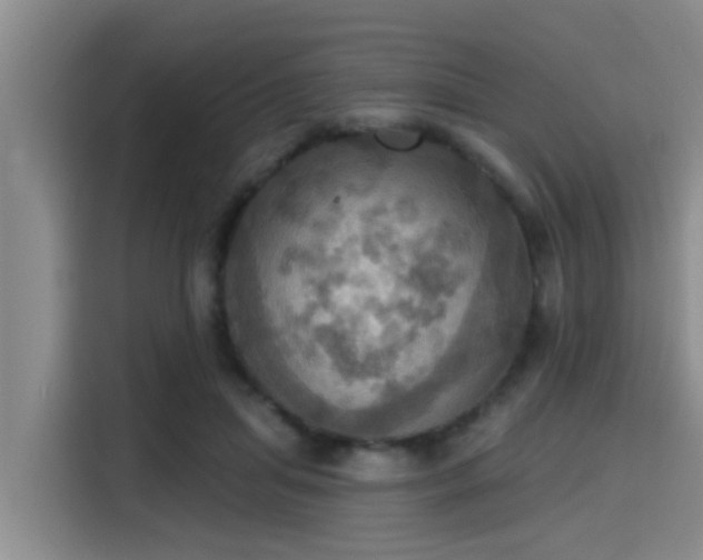 X0000115450455200911121157