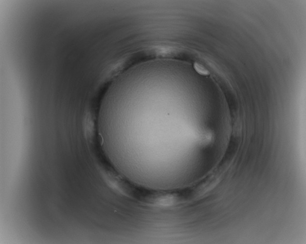 X0000115450456200911121157