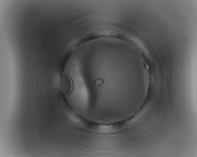 X0000115450457200911121157