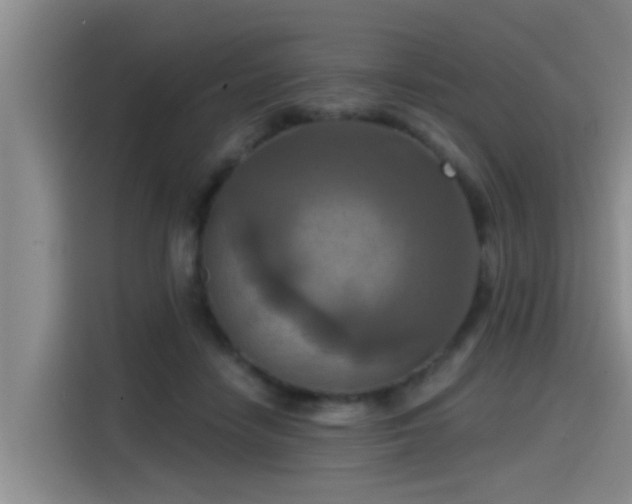 X0000115450458200911121157