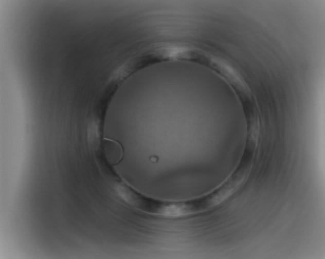 X0000115450461200911121157