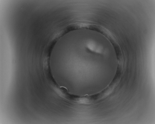 X0000115450462200911121157