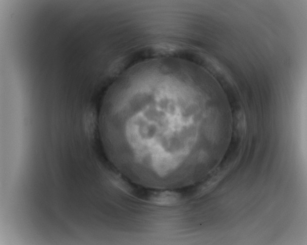 X0000115450463200911121157