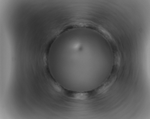 X0000115450465200911121157