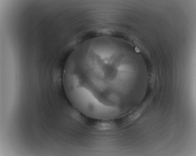 X0000115450466200911121157