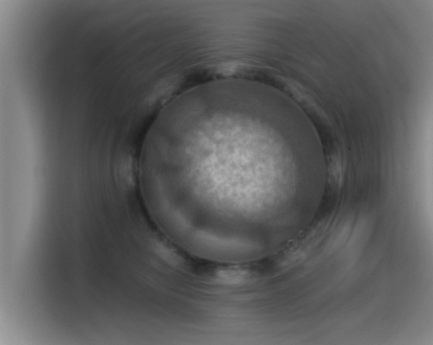 X0000115450470200911121157