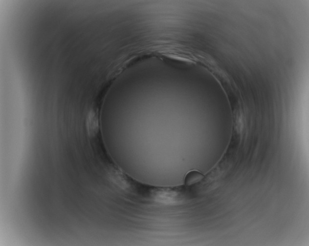 X0000115450471200911121157