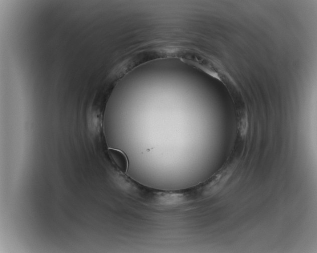 X0000115450476200911121157