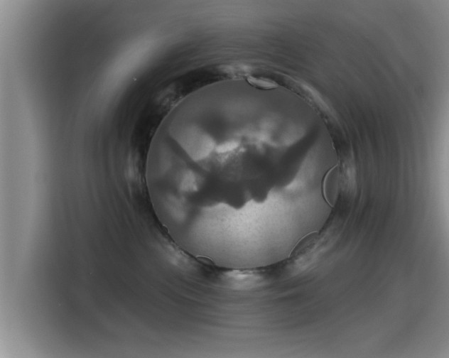 X0000115450477200911121157