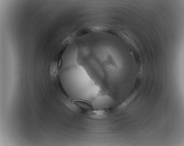 X0000115450478200911121157