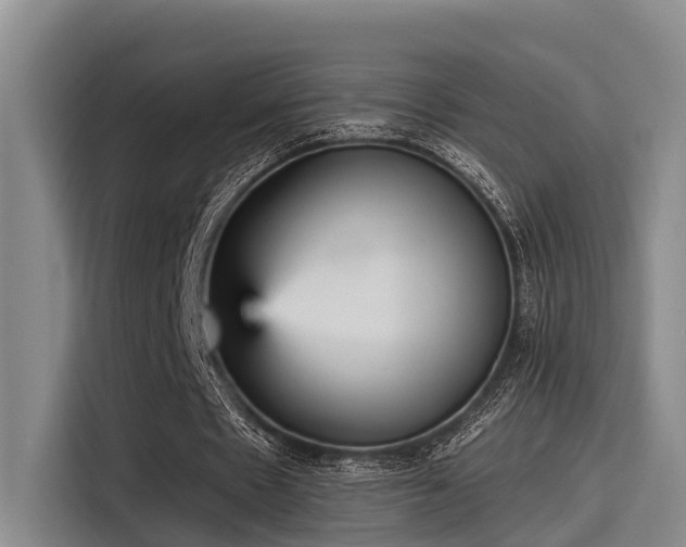 X0000115450481200911121157