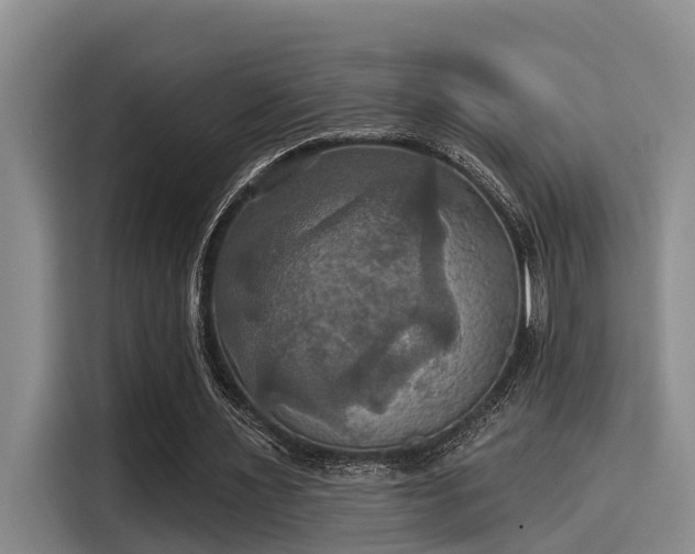 X0000115450483200911121157