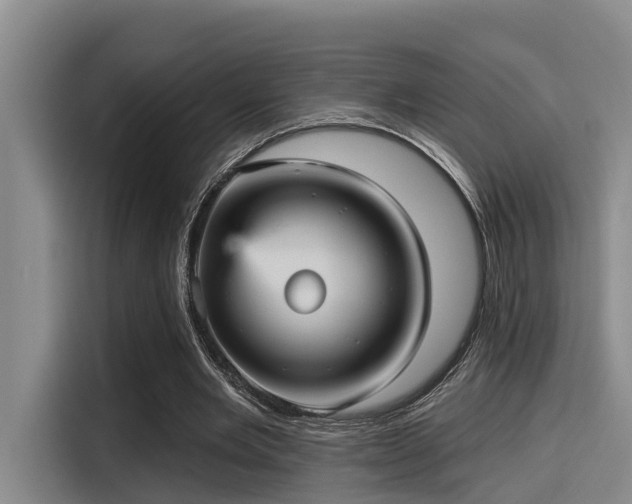 X0000115450485200911121157