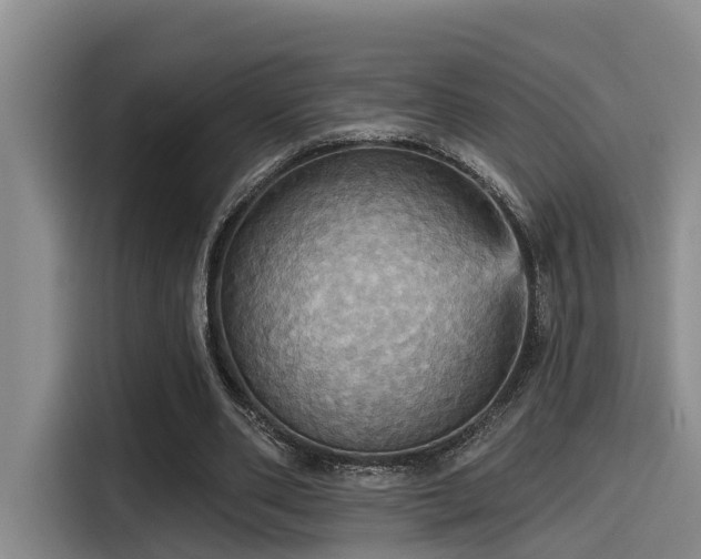 X0000115450486200911121157