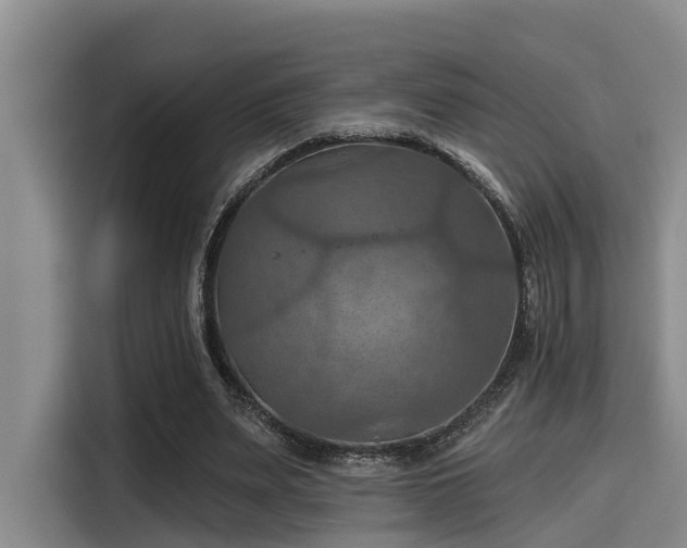 X0000115450487200911121157