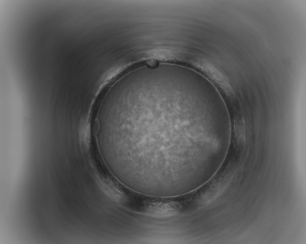 X0000115450488200911121157