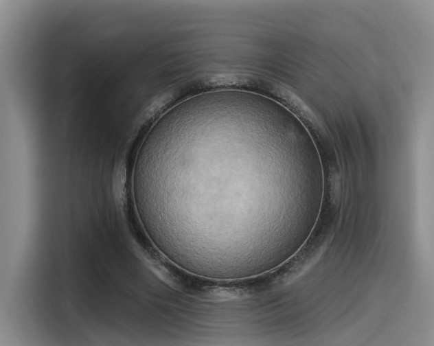 X0000115450490200911121157