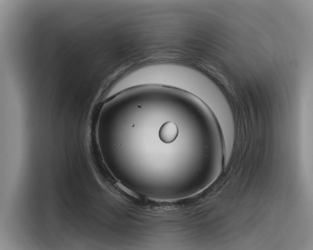 X0000115450492200911121156