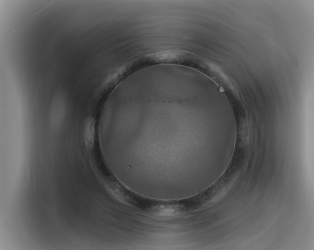 X0000115450495200911121156