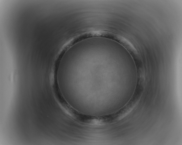 X0000115450496200911121156