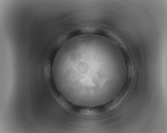 X0000115450498200911121156