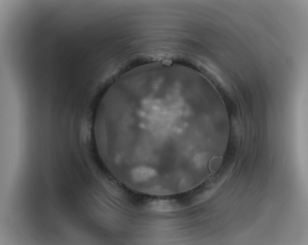 X0000115450499200911121156