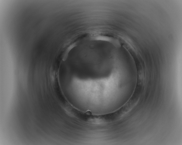 X0000115450503200911121156